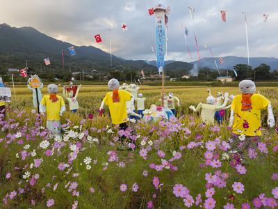 황금 들판 축제 양보면 허수아비 테마장 썸네일 이미지