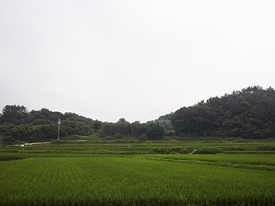 범아리 범사 유물 산포지 썸네일 이미지