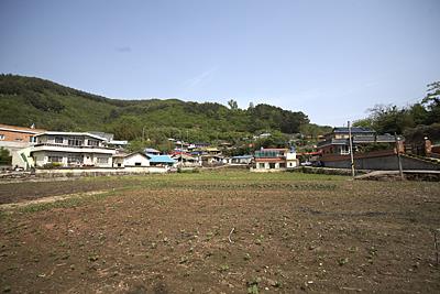 신월리 시목마을 썸네일 이미지