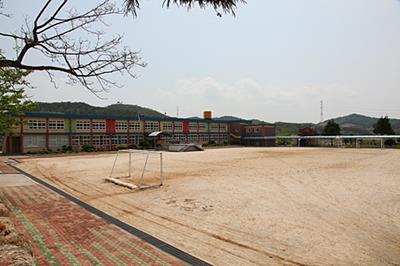 진정초등학교 썸네일 이미지