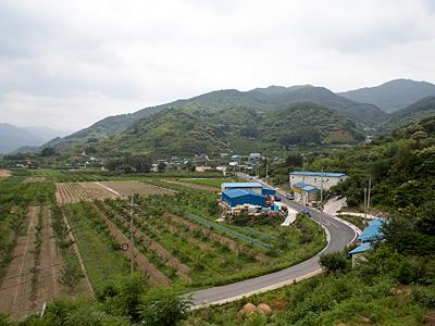 흥룡리 흥룡마을 썸네일 이미지